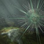 Como Cresce a População Bacteriana