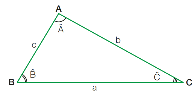 Tipos de triângulos
Triângulo escaleno
Triângulo instrumento
Triângulo retângulo
Triângulo carro
Triângulo área
Triângulo equilátero
Triângulo loja