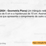 (IBFC - 2024 - Geometria Plana) Um triângulo retângulo tem um cateto de 6 cm e a hipotenusa de 10 cm. Assinale a alternativa que apresenta o comprimento do outro cateto. A) 7 cm B) 8 cm C) 6 cm D) 9 cm
