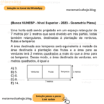 (Banca VUNESP - Nível Superior - 2023 - Geometria Plana) Uma horta está sendo projetada em um espaço retangular de 7 metros por 2 metros que será dividido em três partes, todas também retangulares, destinadas à plantação de verduras, frutas e temperos. A área destinada aos temperos será equivalente à metade da área destinada à plantação das frutas e a área para as verduras terá 2 metros quadrados a mais do que a área para os temperos. Desse modo, a área destinada às verduras, em metros quadrados, é igual a A) 3. B) 5. C) 6. D) 8. E) 14.