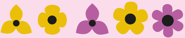 Flores da questão 17 - OBMEP 2024