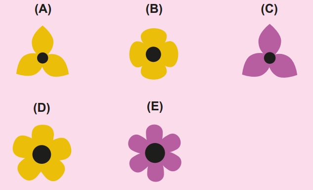 Solução da questão 17 – flores deduzidas