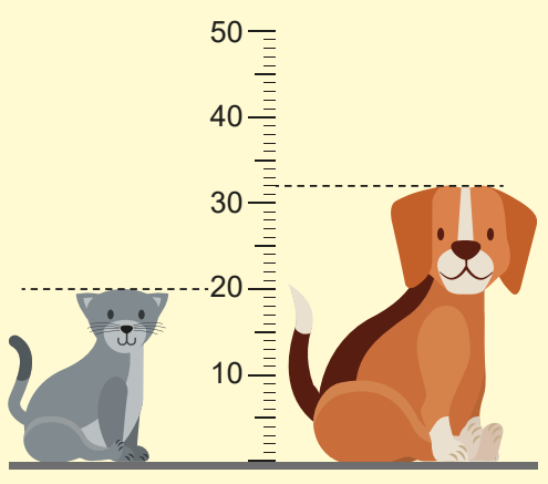 Altura do gato e do cachorro