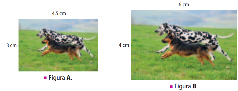Figuras semelhantes - exemplo do zoom no celular