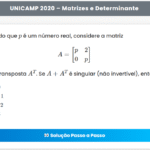 UNICAMP 2020 | Matemática | 1ª Fase