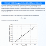 UNICAMP 2022 | Matemática | 2ª Fase