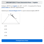 UNICAMP 2024 | Matemática | 1ª Fase