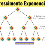 Crescimento Exponencial