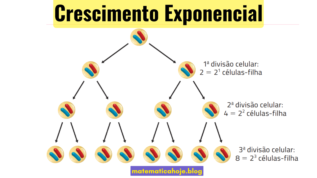 Crescimento Exponencial