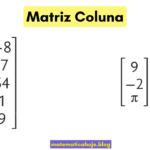 Matriz Coluna