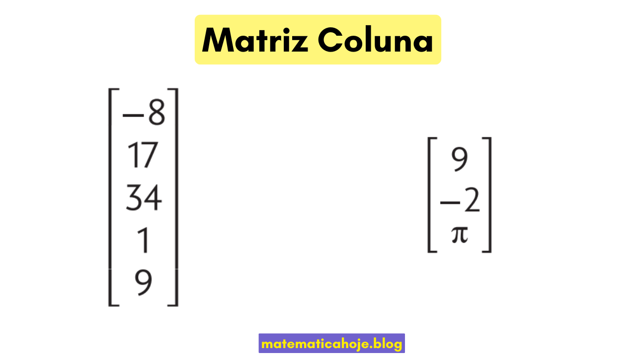 Exemplos de matriz coluna