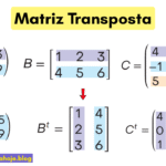 Matriz Transposta