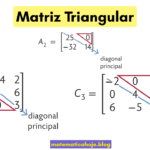 Matriz Triangular