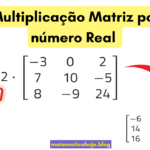 Multiplicação de Matriz por Número Real