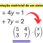 Representação matricial de um sistema linear