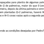 FGV 2026 Matemática Discursiva: Equação Linear e Distribuição de Palmeiras (Questão 4 Resolvida)