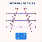 Teorema de Tales: o que é, fórmula e exemplos práticos
